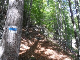 Es geht steil bergauf..., © Wiener Alpen in Niederösterreich - Semmering Rax