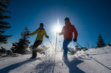 Schneeschuhwandern Rax, © Wiener Alpen/Ziegler