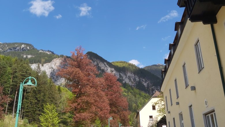 Ausblick, © Scharfegger’s Raxalpen Resort