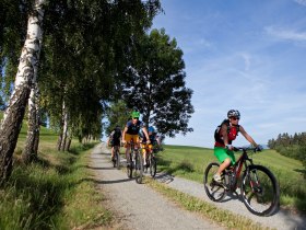 Mountainbiken in den Wiener Alpen, © ©Wiener Alpen, Foto: Thomas Bartl