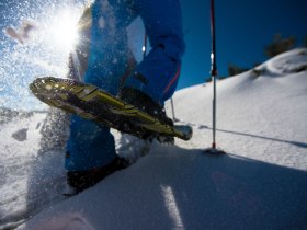 Schneeschuhwandern, © ©Wiener Alpen, Foto: Claudia Ziegler