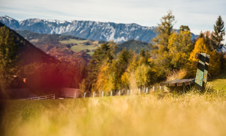 Wandern im Herbst, © Wiener Alpen - Martin Fülöp