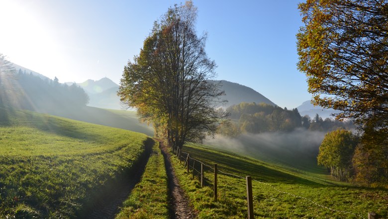 Wandern mit Weitblick, © Gemeinde Raach