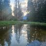 Walddenke, Teich, © Mag. Plötzeneder