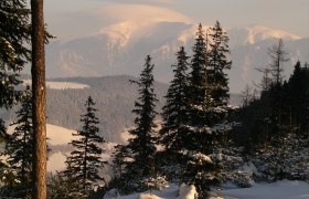 Winterlandschaft, © Wiener Alpen in Niederösterreich - Semmering Rax