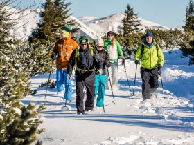 Schneeschuhwandern, © Wiener Alpen in Niederösterreich - Semmering Rax