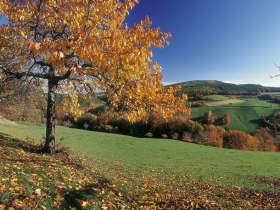 Gasteil, © Wiener Alpen in Niederösterreich