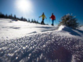 Schneeschuhwandern, © ©Wiener Alpen, Foto: Claudia Ziegler