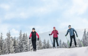 Die Nordic Arena eignet sich perfekt für Anfänger und Einsteiger, © L&WSV Kirchberg am Wechsel