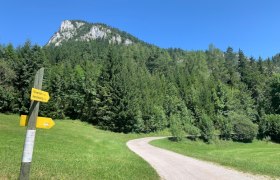 Naturpark Falkenstein, © Tourismusverband Semmering-Rax-Schneeberg