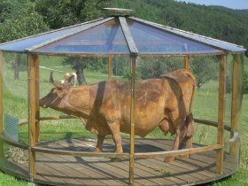 Gut Gasteil, © Wiener Alpen in Niederösterreich